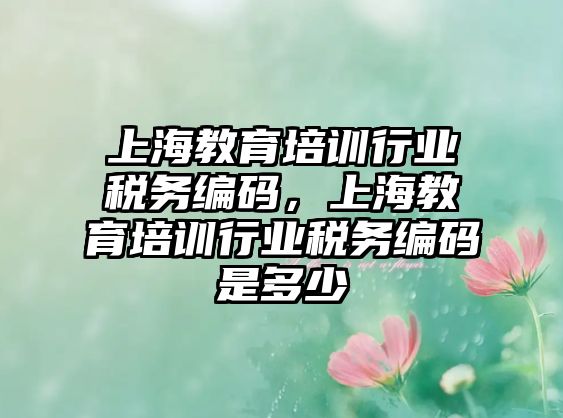 上海教育培訓(xùn)行業(yè)稅務(wù)編碼，上海教育培訓(xùn)行業(yè)稅務(wù)編碼是多少