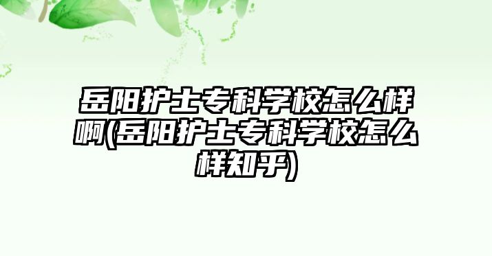 岳陽(yáng)護(hù)士專科學(xué)校怎么樣啊(岳陽(yáng)護(hù)士專科學(xué)校怎么樣知乎)