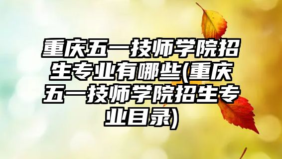 重慶五一技師學(xué)院招生專業(yè)有哪些(重慶五一技師學(xué)院招生專業(yè)目錄)