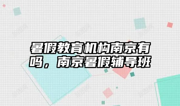 暑假教育機(jī)構(gòu)南京有嗎，南京暑假輔導(dǎo)班