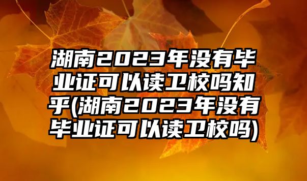 湖南2023年沒有畢業(yè)證可以讀衛(wèi)校嗎知乎(湖南2023年沒有畢業(yè)證可以讀衛(wèi)校嗎)