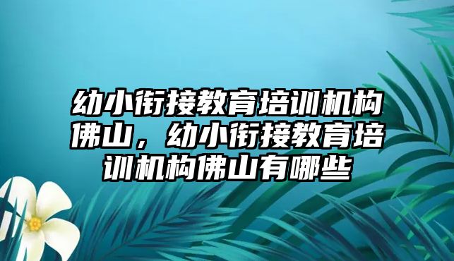 幼小銜接教育培訓(xùn)機(jī)構(gòu)佛山，幼小銜接教育培訓(xùn)機(jī)構(gòu)佛山有哪些