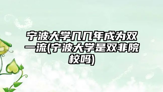 寧波大學(xué)幾幾年成為雙一流(寧波大學(xué)是雙非院校嗎)