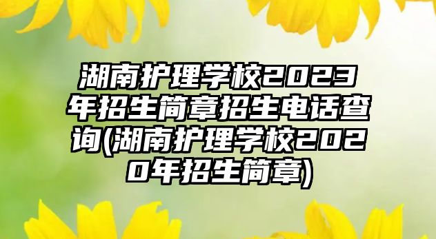 湖南護(hù)理學(xué)校2023年招生簡章招生電話查詢(湖南護(hù)理學(xué)校2020年招生簡章)