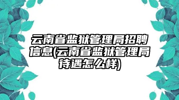 云南省監(jiān)獄管理局招聘信息(云南省監(jiān)獄管理局待遇怎么樣)