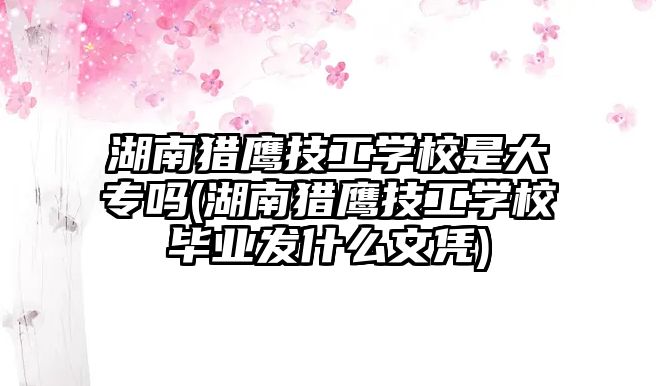 湖南獵鷹技工學校是大專嗎(湖南獵鷹技工學校畢業(yè)發(fā)什么文憑)