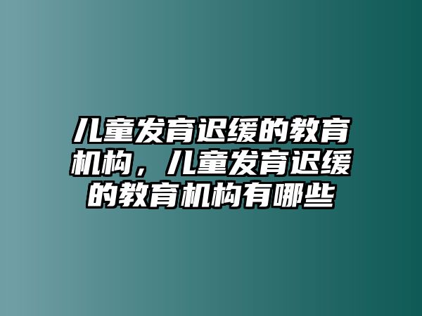 兒童發(fā)育遲緩的教育機(jī)構(gòu)，兒童發(fā)育遲緩的教育機(jī)構(gòu)有哪些