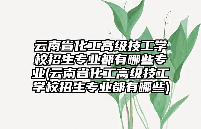 云南省化工高級技工學校招生專業(yè)都有哪些專業(yè)(云南省化工高級技工學校招生專業(yè)都有哪些)