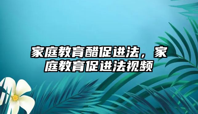 家庭教育醋促進(jìn)法，家庭教育促進(jìn)法視頻