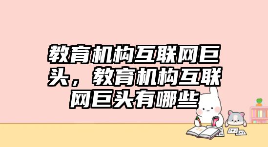 教育機構(gòu)互聯(lián)網(wǎng)巨頭，教育機構(gòu)互聯(lián)網(wǎng)巨頭有哪些