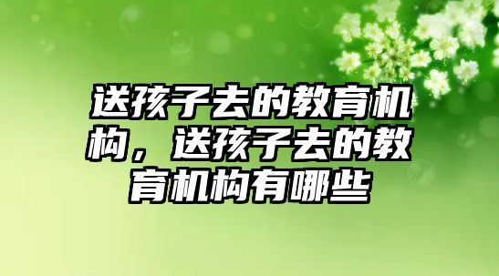 送孩子去的教育機構(gòu)，送孩子去的教育機構(gòu)有哪些