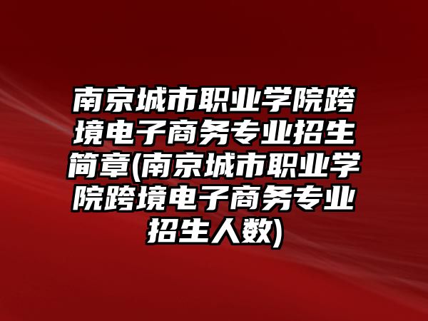 南京城市職業(yè)學(xué)院跨境電子商務(wù)專業(yè)招生簡(jiǎn)章(南京城市職業(yè)學(xué)院跨境電子商務(wù)專業(yè)招生人數(shù))