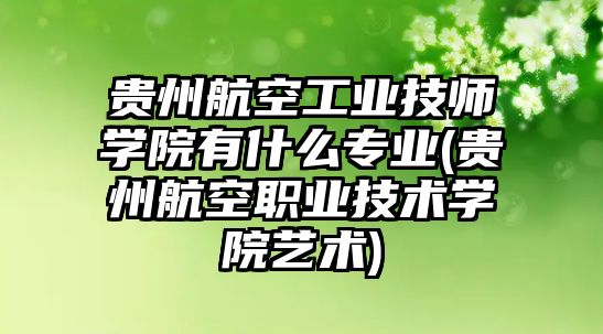 貴州航空工業(yè)技師學(xué)院有什么專業(yè)(貴州航空職業(yè)技術(shù)學(xué)院藝術(shù))