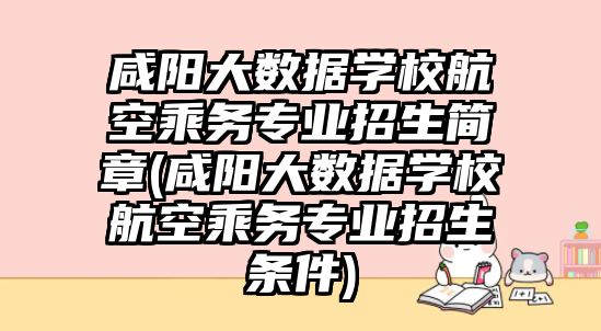 咸陽大數(shù)據(jù)學(xué)校航空乘務(wù)專業(yè)招生簡章(咸陽大數(shù)據(jù)學(xué)校航空乘務(wù)專業(yè)招生條件)