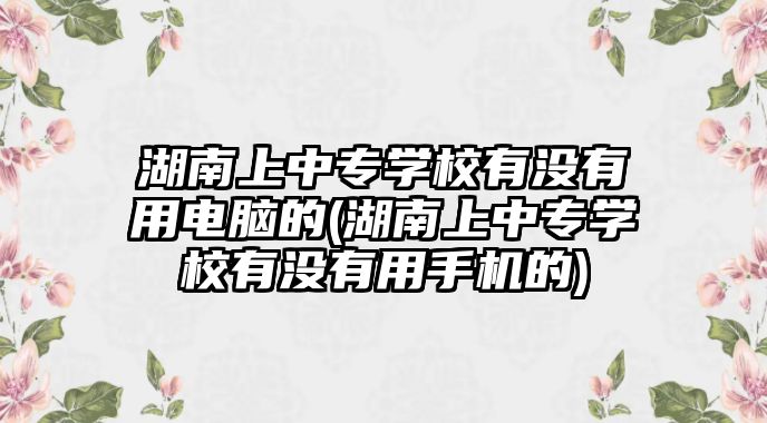 湖南上中專學校有沒有用電腦的(湖南上中專學校有沒有用手機的)