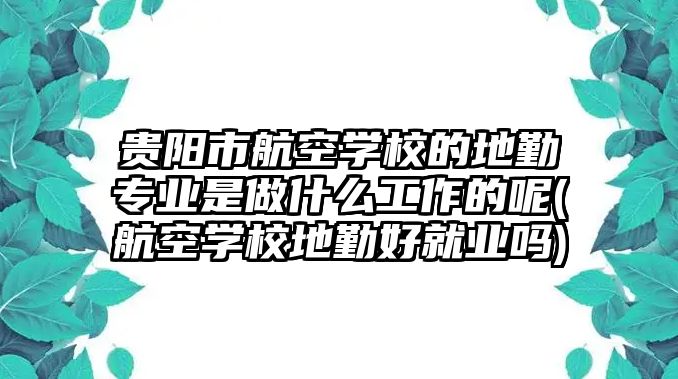 貴陽市航空學校的地勤專業(yè)是做什么工作的呢(航空學校地勤好就業(yè)嗎)