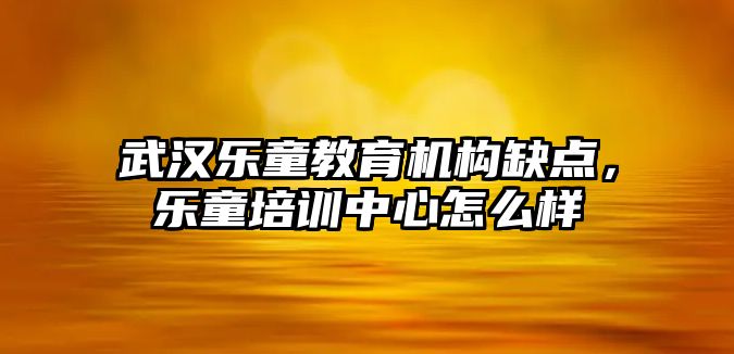 武漢樂童教育機構(gòu)缺點，樂童培訓(xùn)中心怎么樣