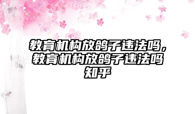 教育機(jī)構(gòu)放鴿子違法嗎，教育機(jī)構(gòu)放鴿子違法嗎知乎