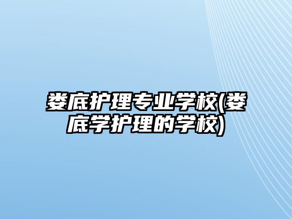 婁底護(hù)理專業(yè)學(xué)校(婁底學(xué)護(hù)理的學(xué)校)