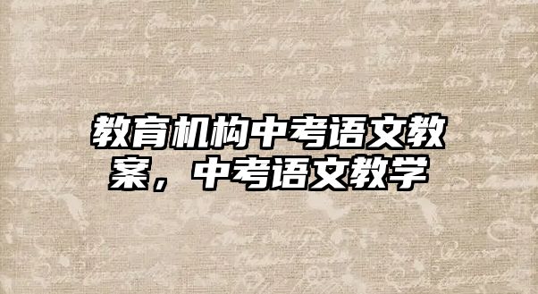 教育機構(gòu)中考語文教案，中考語文教學(xué)