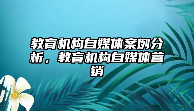 教育機(jī)構(gòu)自媒體案例分析，教育機(jī)構(gòu)自媒體營(yíng)銷