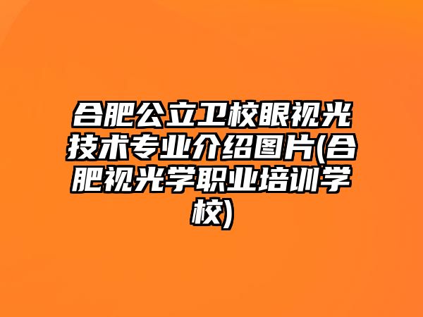 合肥公立衛(wèi)校眼視光技術(shù)專業(yè)介紹圖片(合肥視光學(xué)職業(yè)培訓(xùn)學(xué)校)