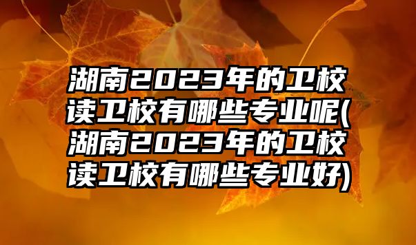 湖南2023年的衛(wèi)校讀衛(wèi)校有哪些專業(yè)呢(湖南2023年的衛(wèi)校讀衛(wèi)校有哪些專業(yè)好)