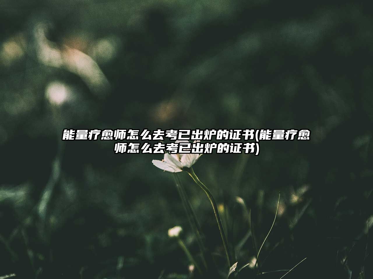 能量療愈師怎么去考已出爐的證書(能量療愈師怎么去考已出爐的證書)