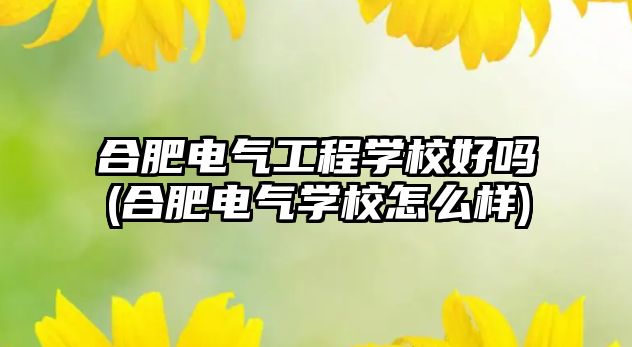 合肥電氣工程學(xué)校好嗎(合肥電氣學(xué)校怎么樣)