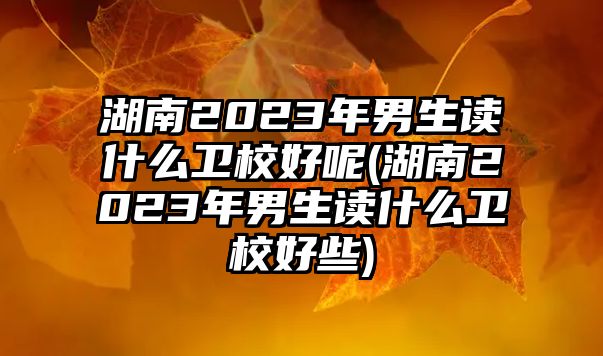 湖南2023年男生讀什么衛(wèi)校好呢(湖南2023年男生讀什么衛(wèi)校好些)