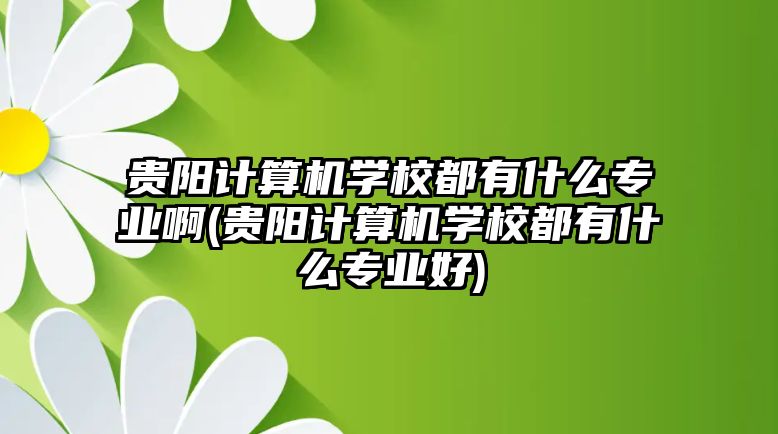 貴陽計(jì)算機(jī)學(xué)校都有什么專業(yè)啊(貴陽計(jì)算機(jī)學(xué)校都有什么專業(yè)好)