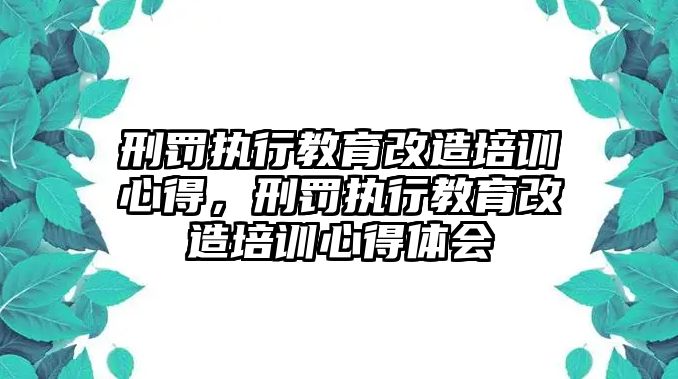 刑罰執(zhí)行教育改造培訓(xùn)心得，刑罰執(zhí)行教育改造培訓(xùn)心得體會(huì)