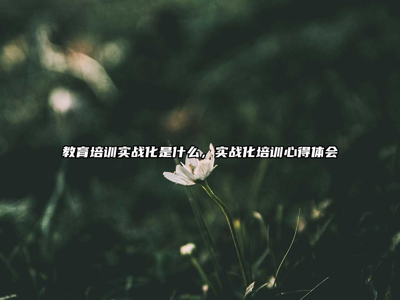 教育培訓(xùn)實(shí)戰(zhàn)化是什么，實(shí)戰(zhàn)化培訓(xùn)心得體會(huì)