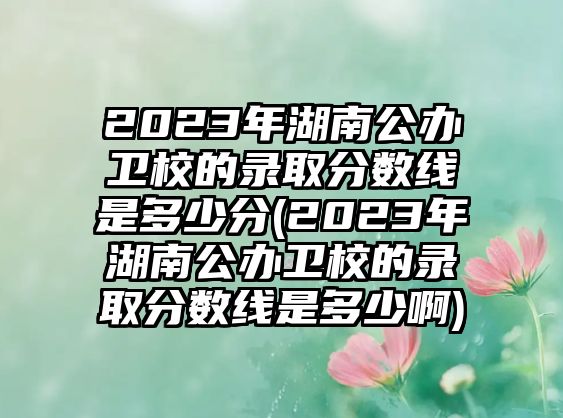 2023年湖南公辦衛(wèi)校的錄取分?jǐn)?shù)線是多少分(2023年湖南公辦衛(wèi)校的錄取分?jǐn)?shù)線是多少啊)