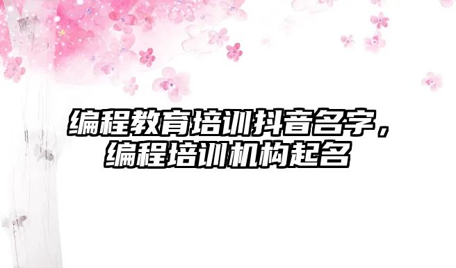 編程教育培訓抖音名字，編程培訓機構(gòu)起名