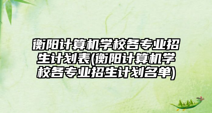 衡陽計算機學校各專業(yè)招生計劃表(衡陽計算機學校各專業(yè)招生計劃名單)