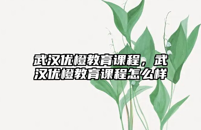 武漢優(yōu)橙教育課程，武漢優(yōu)橙教育課程怎么樣