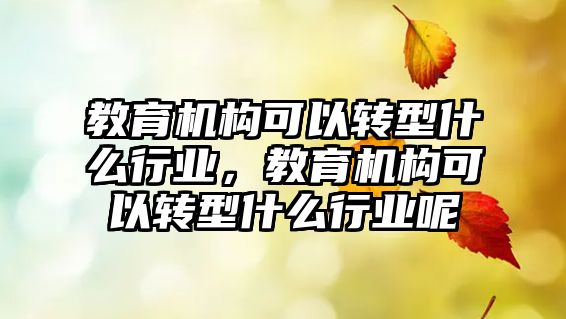 教育機構(gòu)可以轉(zhuǎn)型什么行業(yè)，教育機構(gòu)可以轉(zhuǎn)型什么行業(yè)呢