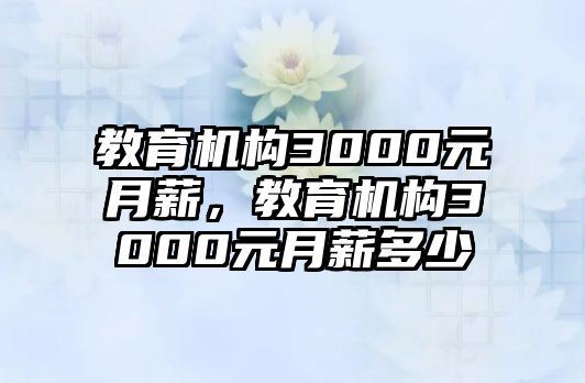 教育機構3000元月薪，教育機構3000元月薪多少