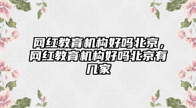 網(wǎng)紅教育機(jī)構(gòu)好嗎北京，網(wǎng)紅教育機(jī)構(gòu)好嗎北京有幾家