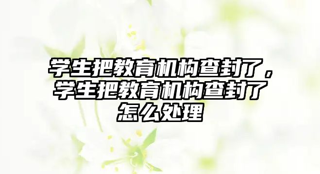 學生把教育機構查封了，學生把教育機構查封了怎么處理