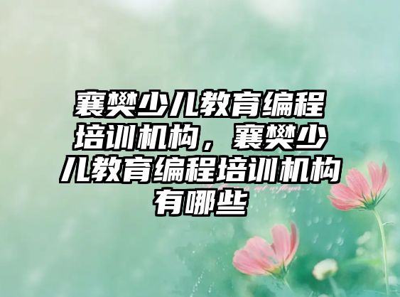 襄樊少兒教育編程培訓(xùn)機(jī)構(gòu)，襄樊少兒教育編程培訓(xùn)機(jī)構(gòu)有哪些