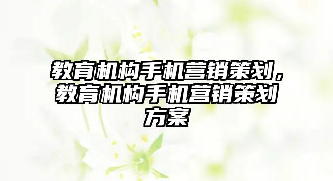 教育機構(gòu)手機營銷策劃，教育機構(gòu)手機營銷策劃方案