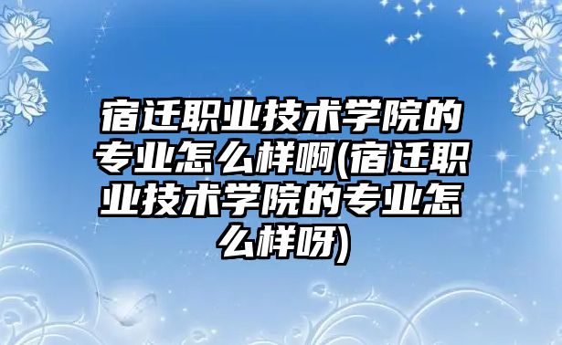 宿遷職業(yè)技術(shù)學(xué)院的專業(yè)怎么樣啊(宿遷職業(yè)技術(shù)學(xué)院的專業(yè)怎么樣呀)