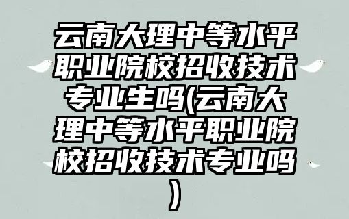 云南大理中等水平職業(yè)院校招收技術(shù)專業(yè)生嗎(云南大理中等水平職業(yè)院校招收技術(shù)專業(yè)嗎)