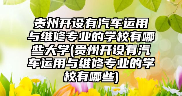 貴州開設(shè)有汽車運(yùn)用與維修專業(yè)的學(xué)校有哪些大學(xué)(貴州開設(shè)有汽車運(yùn)用與維修專業(yè)的學(xué)校有哪些)