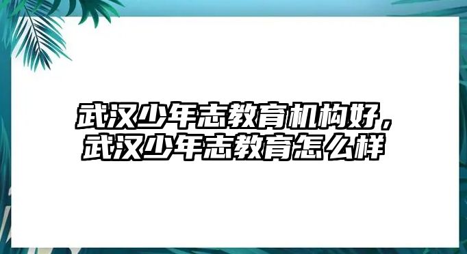 武漢少年志教育機(jī)構(gòu)好，武漢少年志教育怎么樣