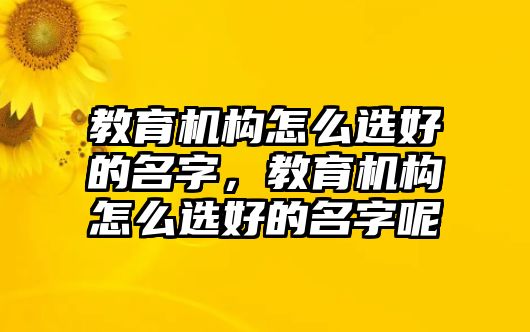 教育機(jī)構(gòu)怎么選好的名字，教育機(jī)構(gòu)怎么選好的名字呢