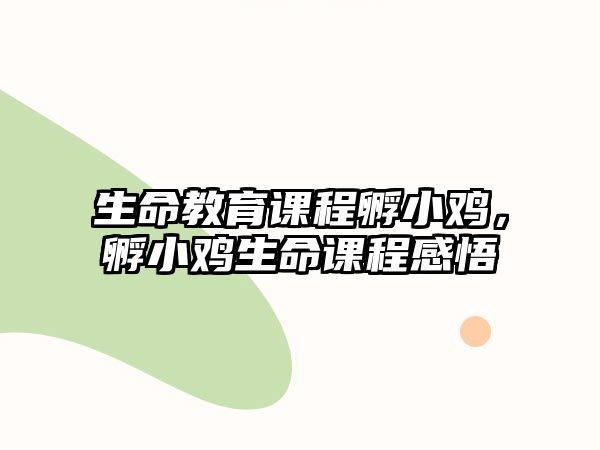 生命教育課程孵小雞，孵小雞生命課程感悟