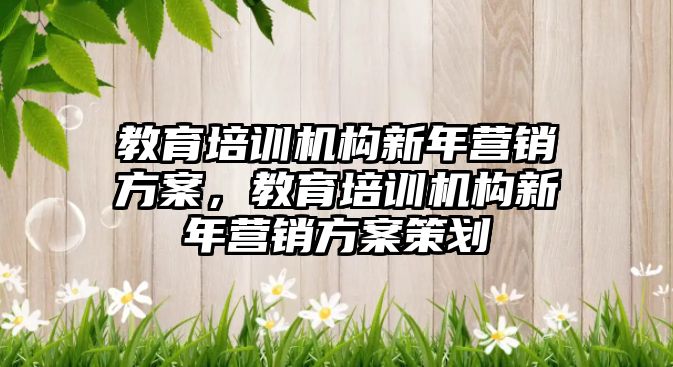 教育培訓機構(gòu)新年營銷方案，教育培訓機構(gòu)新年營銷方案策劃